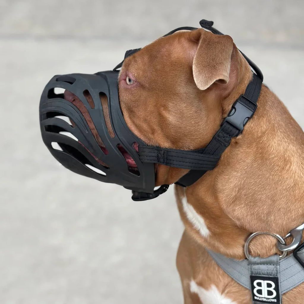 Safety and Legal Requirement Muzzles