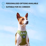 Step in Harness | XS-M Breeds - Olive Green