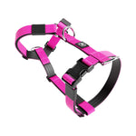 Training No Pull TRI-Harness® | Small Breeds - Magenta