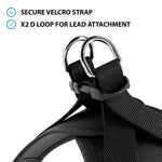 Step in Harness | XS-M Breeds - Black