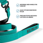 1.4m Swivel Combat Lead | Neoprene Lined, Secure Rated Clip with Soft Handle - Turquoise