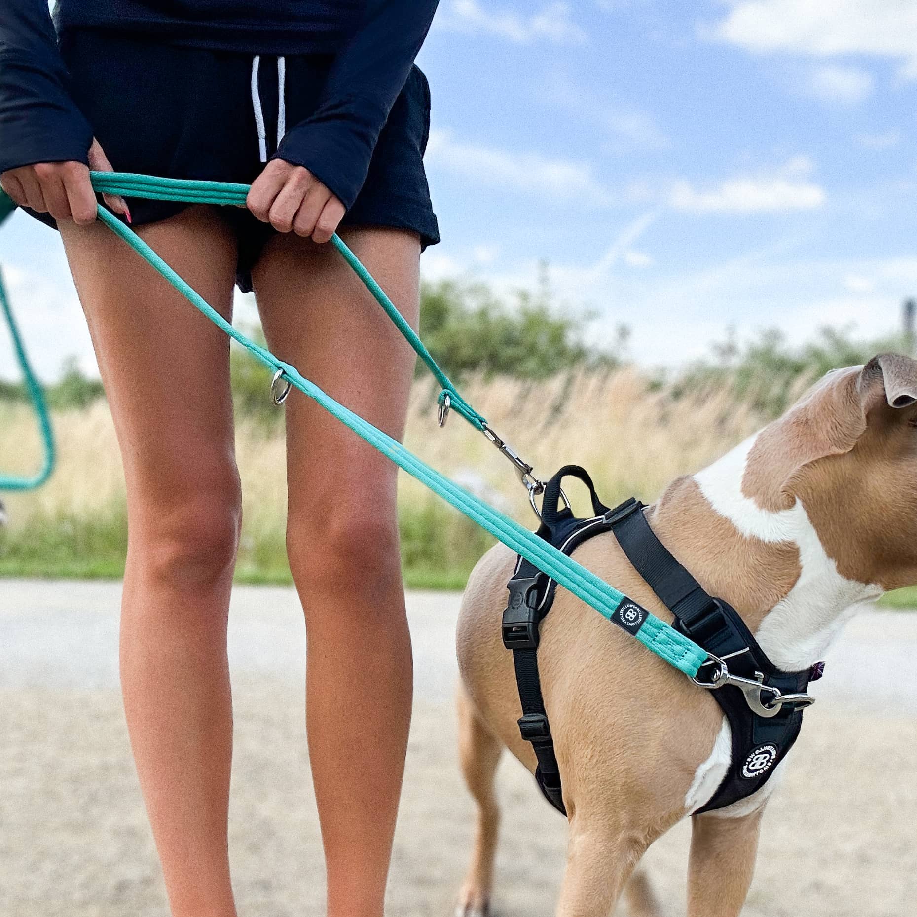 Dog Leashes Training Leashes For Dogs BullyBillows BullyBillows Europe