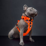 Hurricane Harness - Non Restrictive, With Handle, Adjustable & Reflective - All Breeds - Carminerose