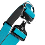 4cm Combat® Collar | With Handle & Rated Clip - Light Blue v2.0